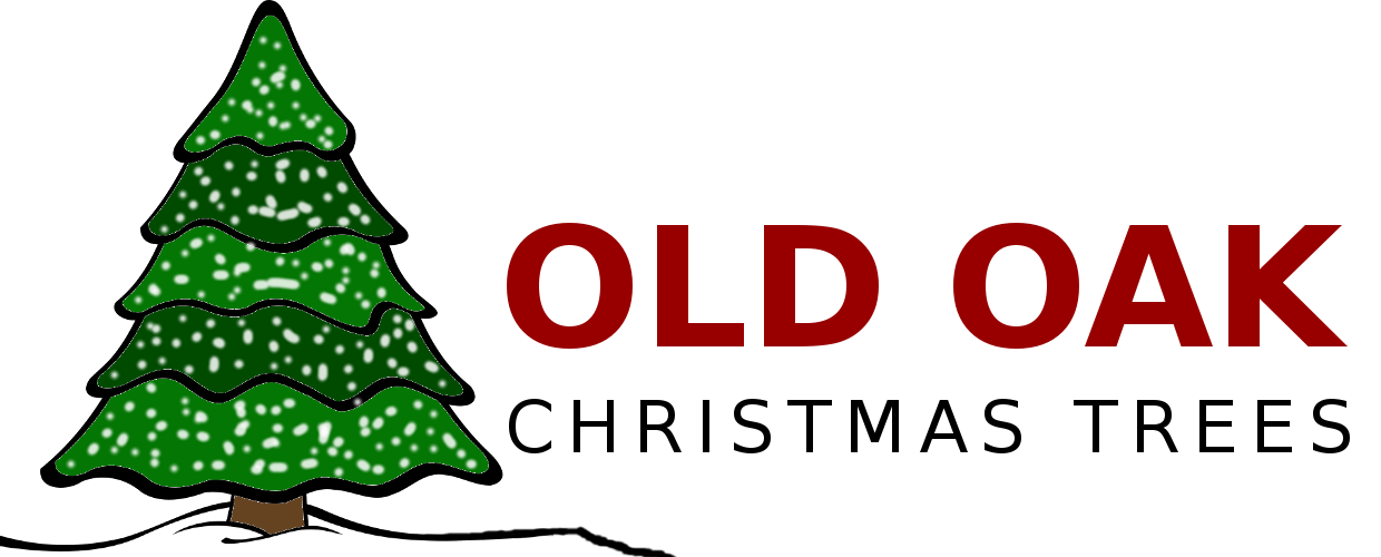 Our First Blog Post