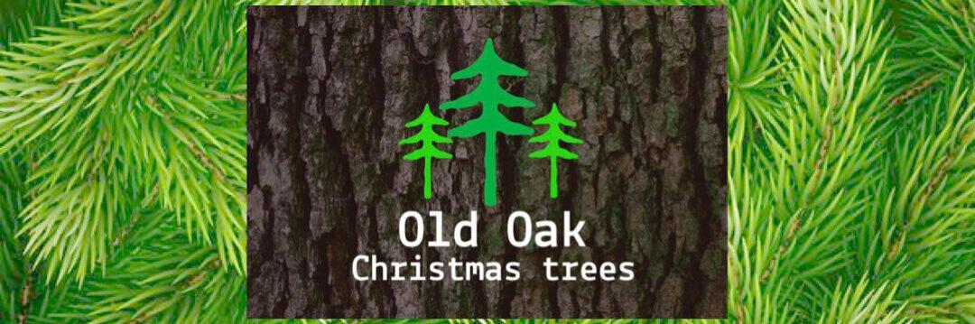 Old Oak Christmas Trees